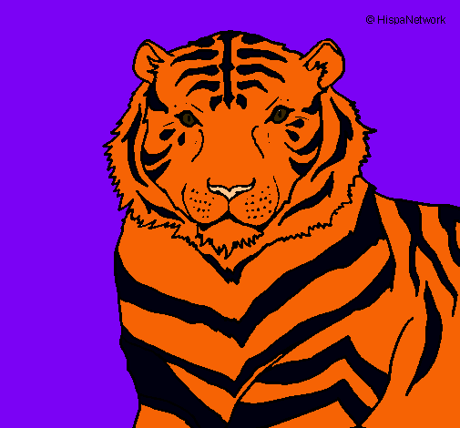 Dibujo Tigre pintado por chykys