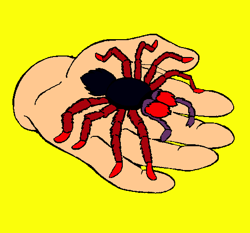 Tarántula