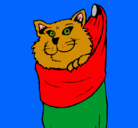 Dibujo Gato dentro de una calcetín pintado por ninfa