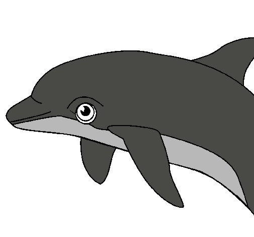 Dibujo Delfín pintado por xiimeenaa
