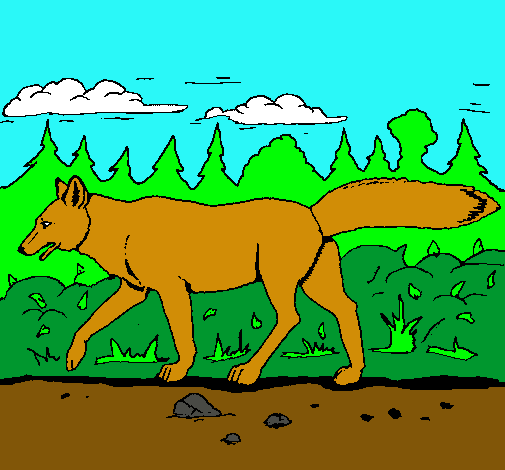 Dibujo Coyote pintado por animalword