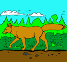 Dibujo Coyote pintado por animalword