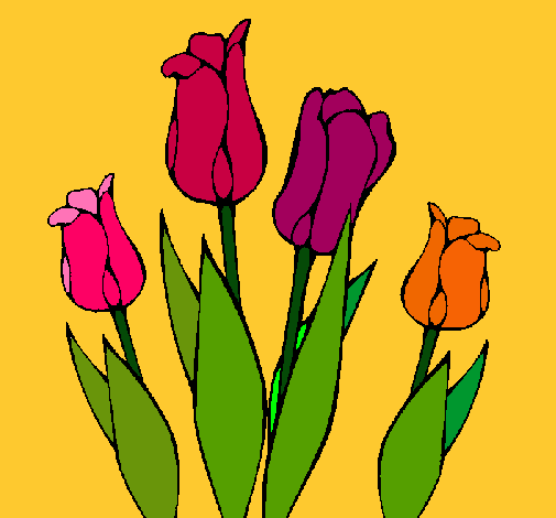 Tulipanes