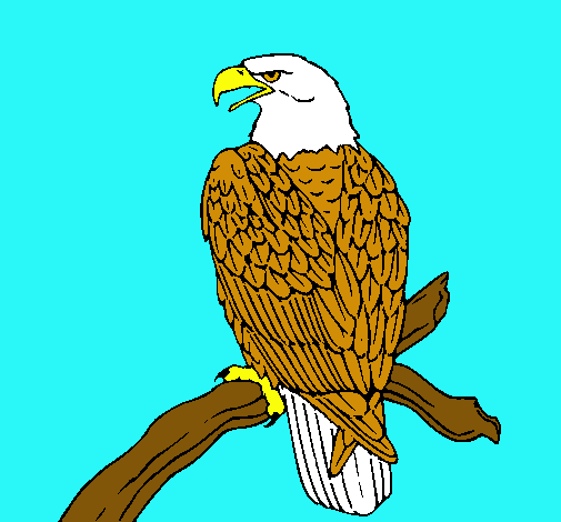 Dibujo Águila en una rama pintado por animalword