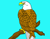 Dibujo Águila en una rama pintado por animalword
