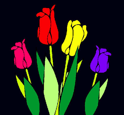 Tulipanes