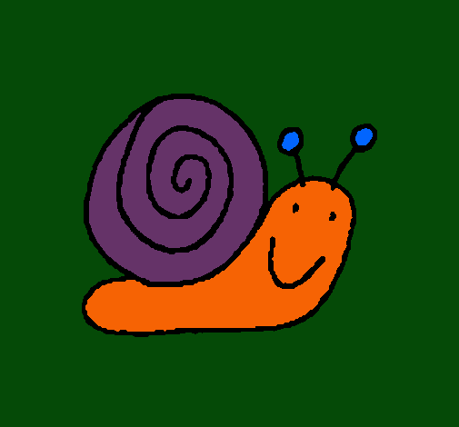 Caracol 4