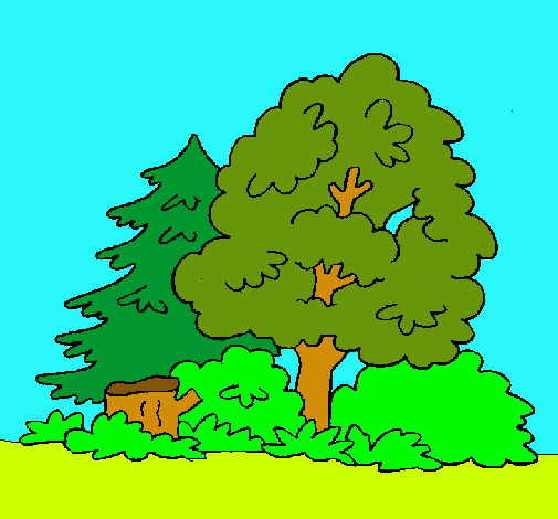 Dibujo Bosque pintado por nathalu