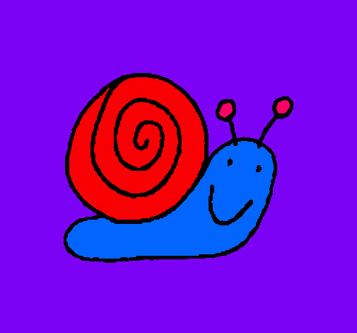 Caracol 4