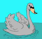 Dibujo Cisne en el agua pintado por ISOLINA