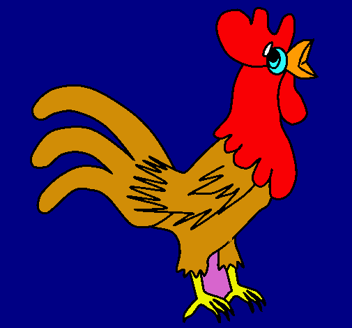 Gallo