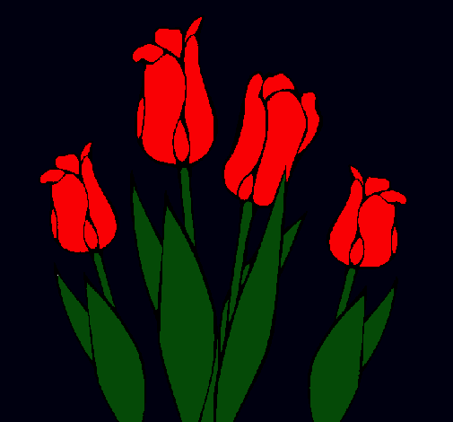 Tulipanes