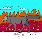 Dibujo Coyote pintado por Limasoooo