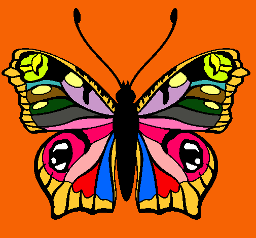 Mariposa 