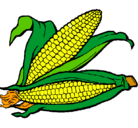 Dibujo Mazorca de maíz pintado por searo