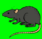 Dibujo Rata subterráena pintado por animalword