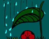 Dibujo Mariquita protegida de la lluvia pintado por pell-o