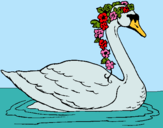 Dibujo Cisne con flores pintado por bella_huce