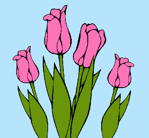 Tulipanes