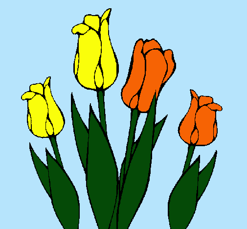 Tulipanes