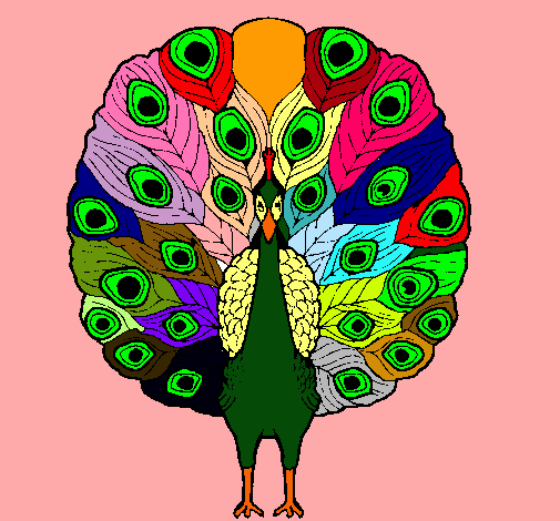 Pavo real