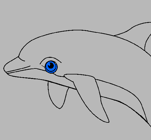 Dibujo Delfín pintado por chykys