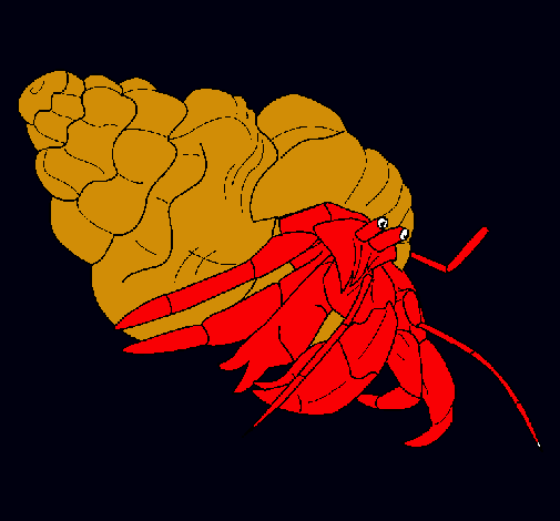 Cangrejo ermitaño