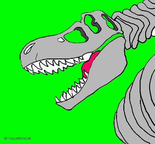 Dibujo Esqueleto tiranosaurio rex pintado por animalword