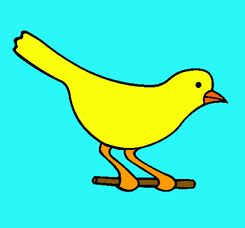 Dibujo Pájaro 4 pintado por beylla