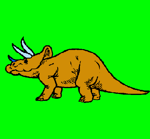 Triceratops