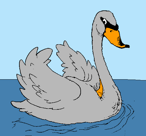 Cisne en el agua