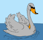 Dibujo Cisne en el agua pintado por magu