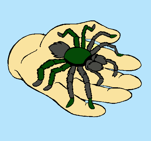 Tarántula