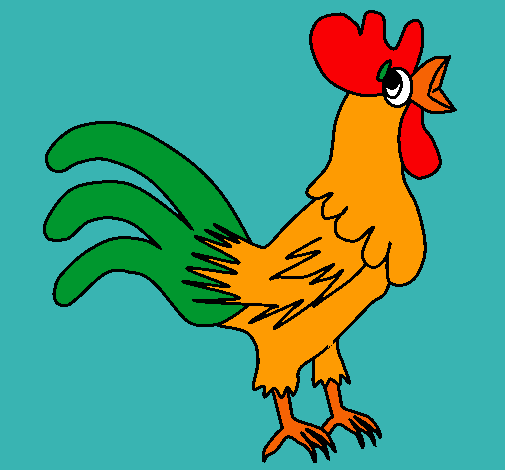 Gallo