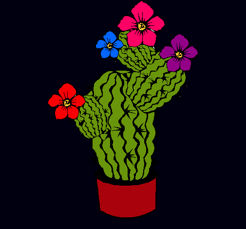 Flores de cactus