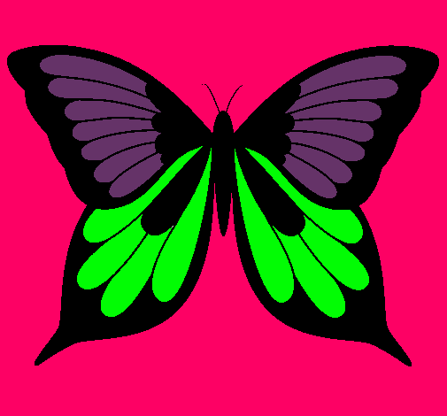 Mariposa 8