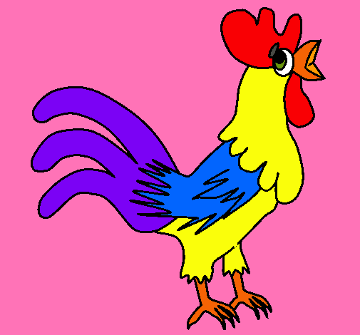 Gallo