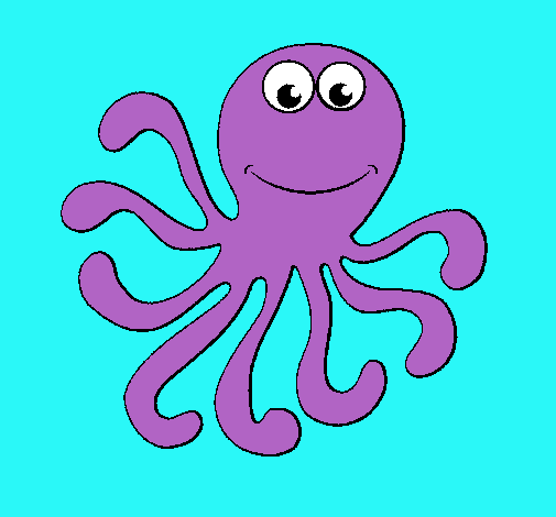 Pulpo 2