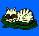 Dibujo Gato en su cama pintado por 348ALEX