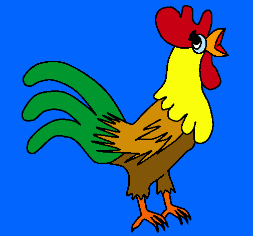 Gallo