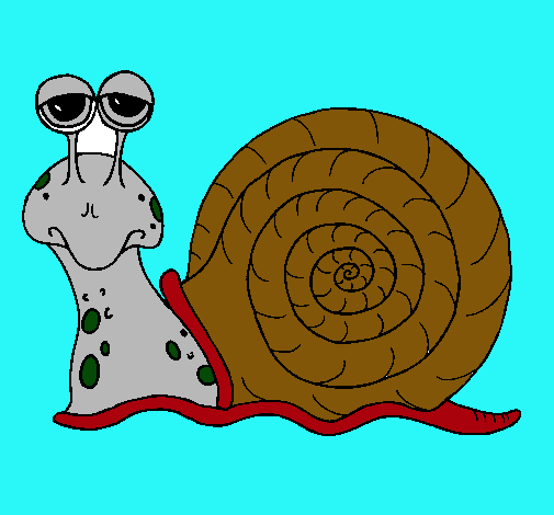 Caracol