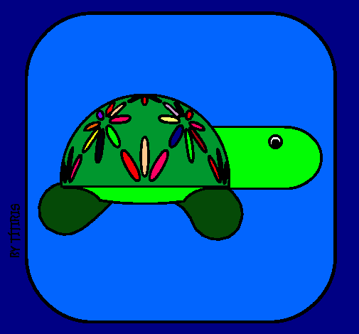 Tortuga 4