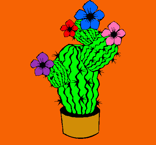 Flores de cactus