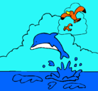 Dibujo Delfín y gaviota pintado por zxcvbnmasdfg