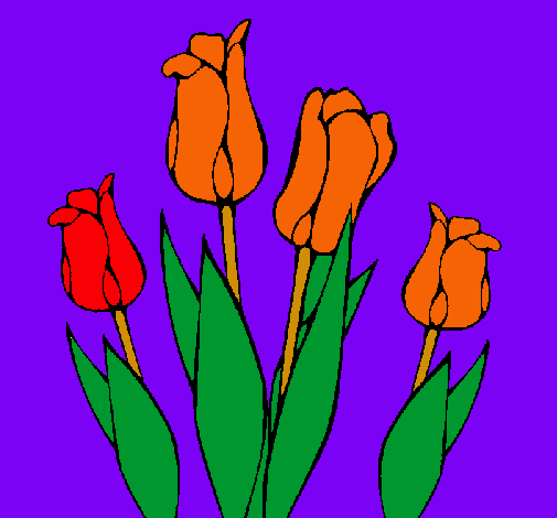 Tulipanes