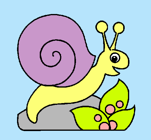 Caracol