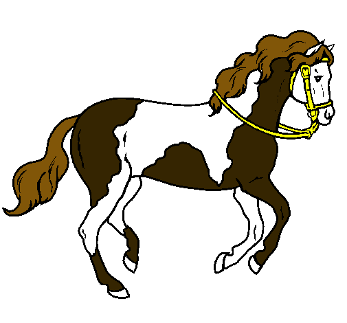 Caballo 5