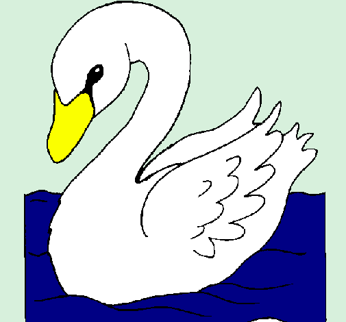 Cisne