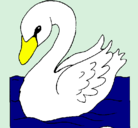 Dibujo Cisne pintado por  cisne