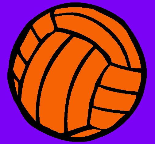 Pelota de voleibol